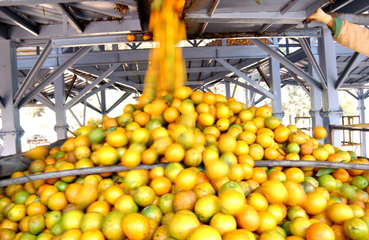 Bahia se mantém entre os dez maiores produtores de grãos do Brasil em 2026