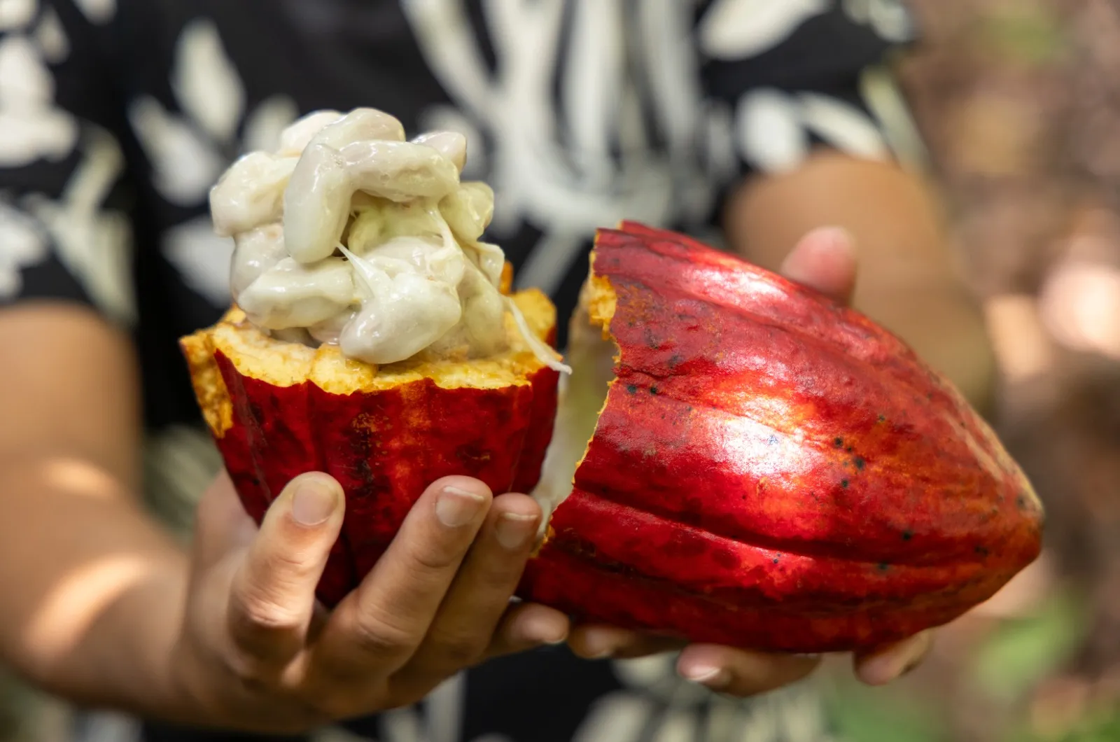 Fotos  Andr&eacute; Frutuoso (2)